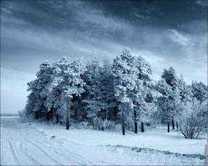 Сменить фон на фото онлайн бесплатно в хорошем качестве на русском языке без регистрации