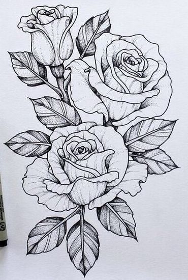 Цветы для срисовки карандашом   красивые и легкие (14)