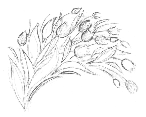 Цветы для срисовки карандашом   красивые и легкие (16)