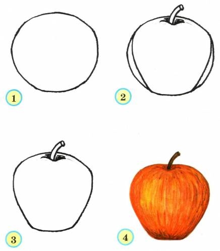 Яблоко картинки для срисовки для детей 015