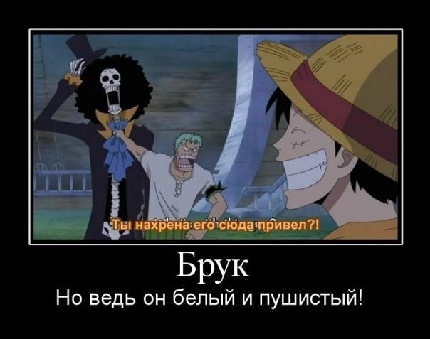 One piece meme. Ван Пис Брук и Луффи. Маленький Брук Ван Пис. Шутки Брука из Ван Пис. Фразы Брука Ван Пис.