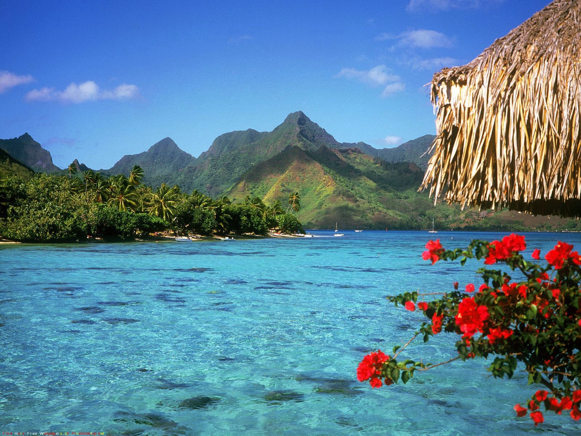 Море экзотика. Бора Бора. Бора Бора на Таити. Лагуна Бора-Бора, французская Полинезия. Фиджи Бора Бора.