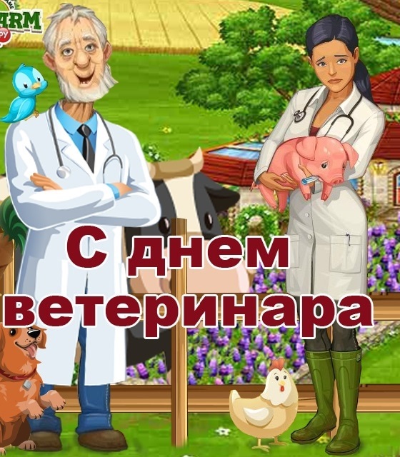 С днем ветеринара смешные картинки