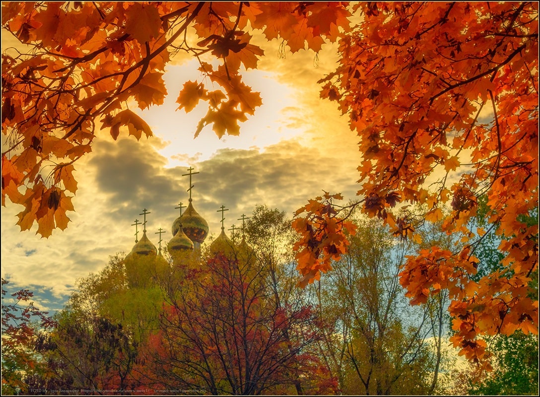 Осень В России Фото Красивые