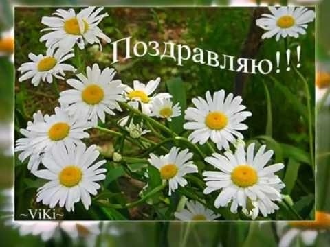 Поздравления с днем рождения с ромашками картинки   очень красивые007