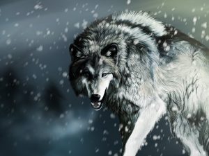 Картинки на заставку волк   подборка016