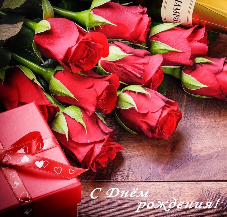 Картинки розы день рождения   красивая подборка015