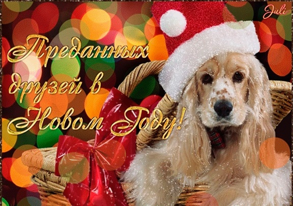 Картинки с днём собаки Украины   открытки003