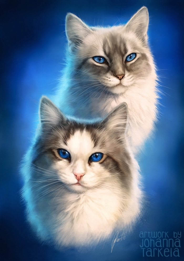 Картинки с рисованными котами   красивая подборка002