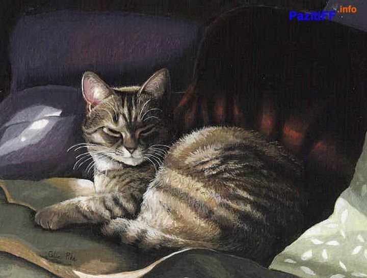Картинки с рисованными котами   красивая подборка004