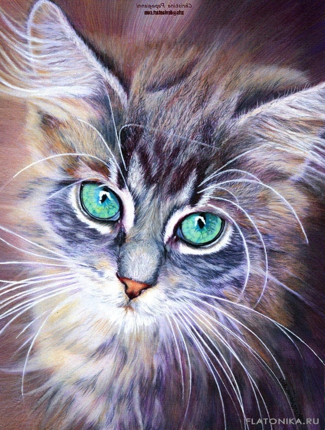 Картинки с рисованными котами   красивая подборка018