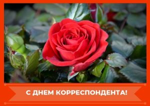 Картинка корреспондента для детей