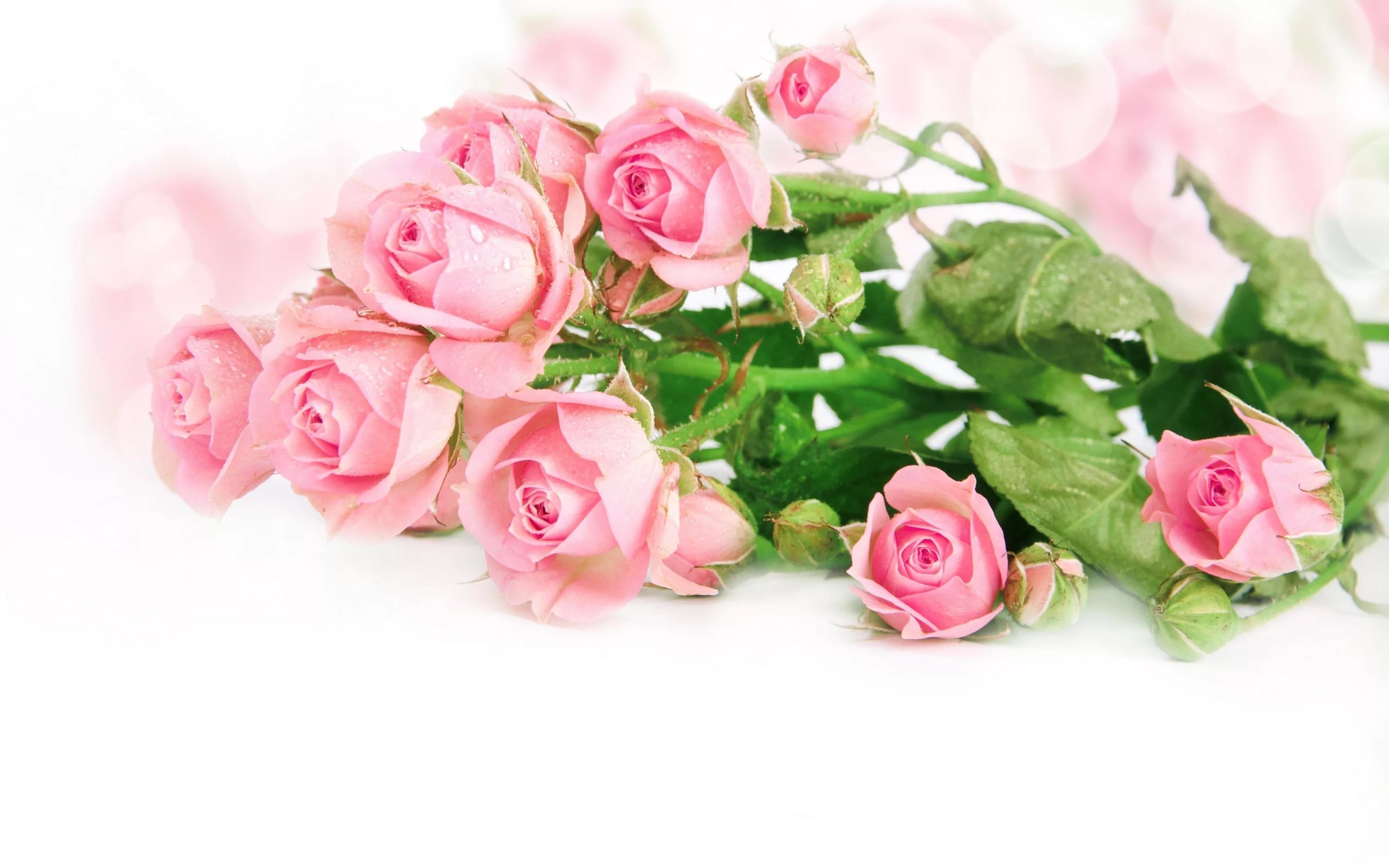 Три бледно-розовые розы
