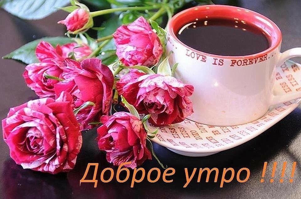Розы и кофе картинки красивые   подборка003