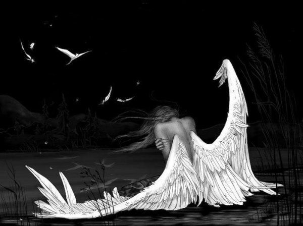 Девушка с крыльями картинки на аву024