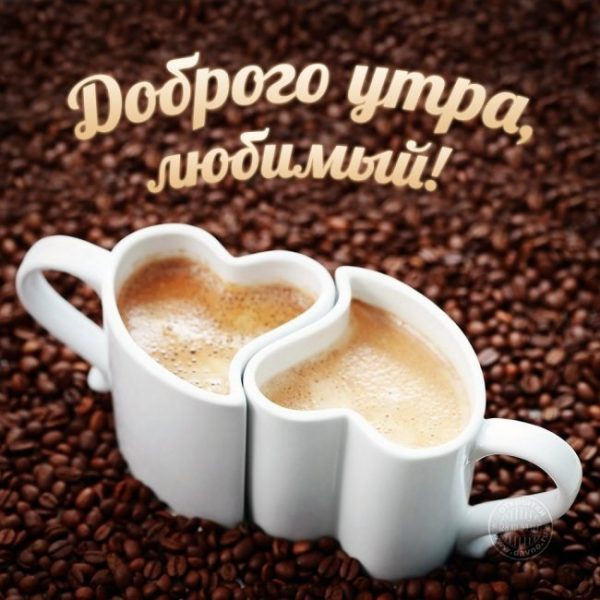 Buongiorno картинки для мужчины