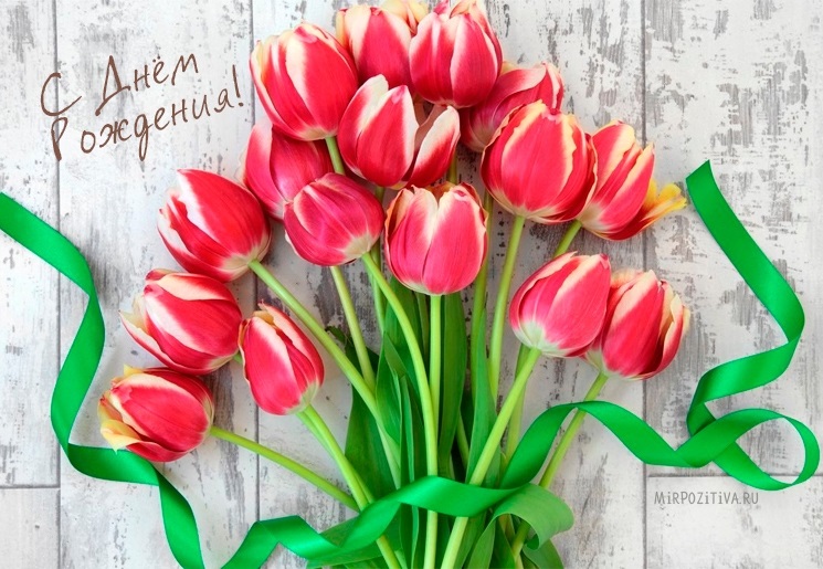 С днем рождения открытки цветы тюльпаны005