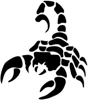 Трафарет скорпиона   отличные картинки, изображения (16)