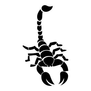 Трафарет скорпиона   отличные картинки, изображения (20)