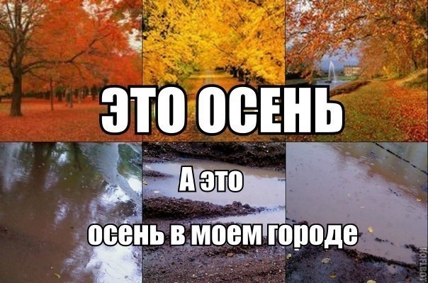 картинки приколы про осень с надписями 011