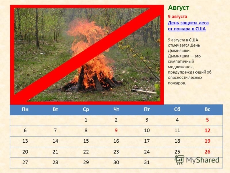 Защита от лесных пожаров. Сохрна лесаа от пожара. День защиты леса от пожара. День защ ты лесов РТ пожаров. Защита лесов от пожаров.