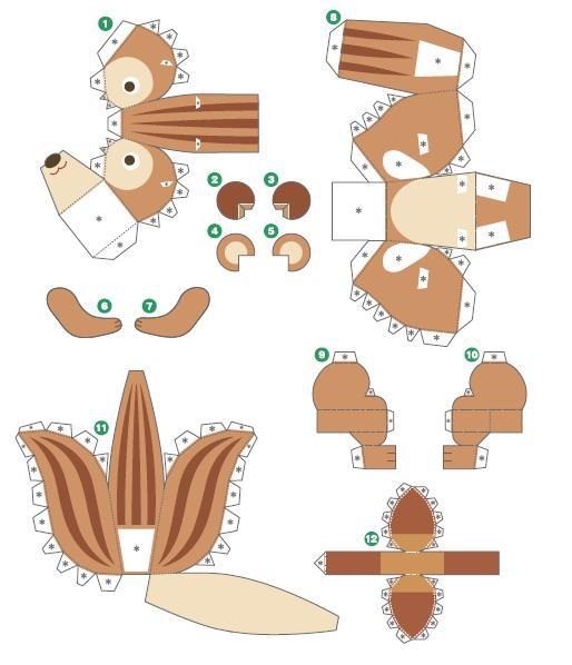Схема белка из бумаги