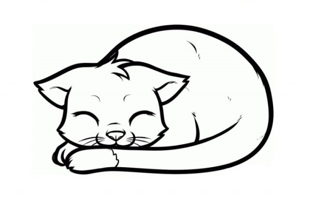 Аниме рисунки кошки для детей 006