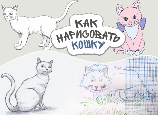 Аниме рисунки кошки для детей 025