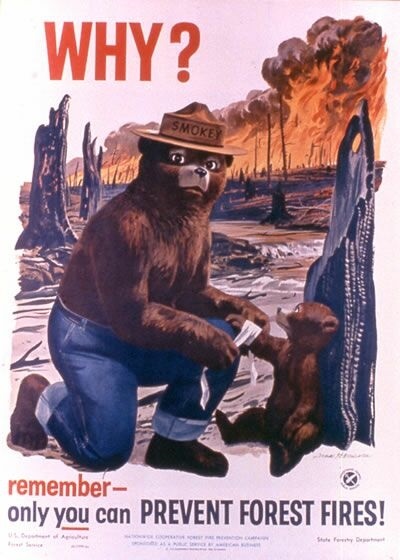 День защиты леса от пожара в США 011