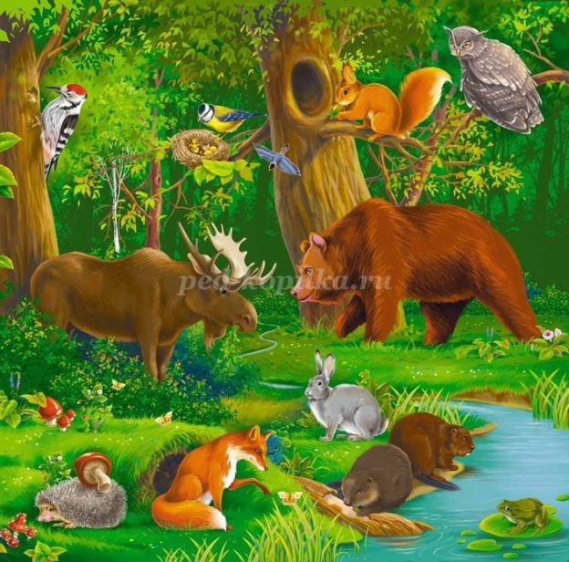 Картинки животные наших лесов для детей 016