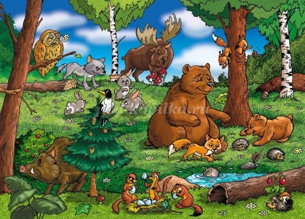 Картинки животные наших лесов для детей 018