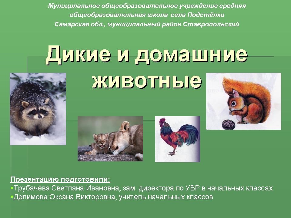 Картинки с домашними и дикими животными (18)