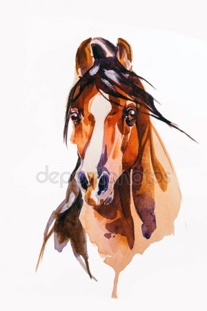 Нарисованные картинки лошадей 005