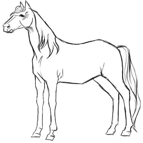 Нарисованные картинки лошадей 007