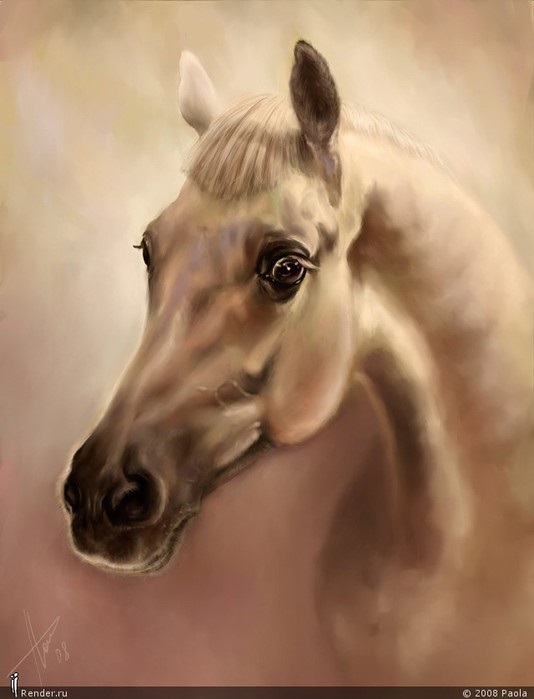 Нарисованные картинки лошадей 014