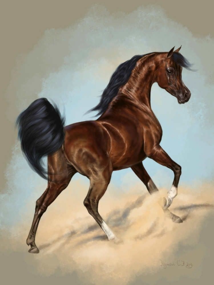 Нарисованные картинки лошадей 017