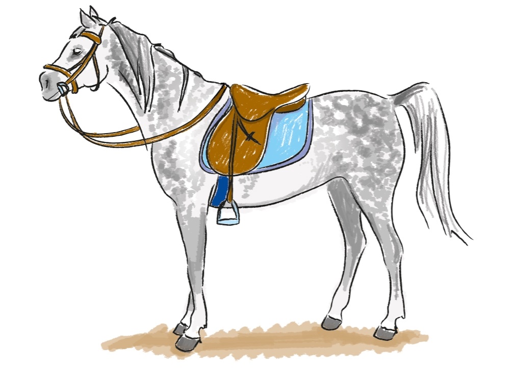 Нарисованные картинки лошадей 022