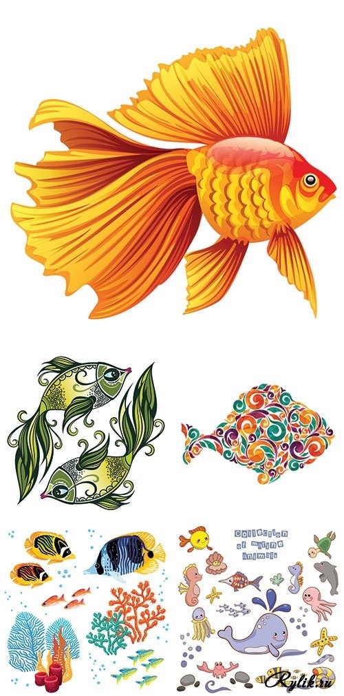 Рисунок морской рыбы 022
