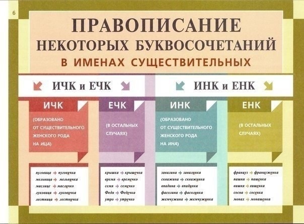 Русская грамматика в картинках