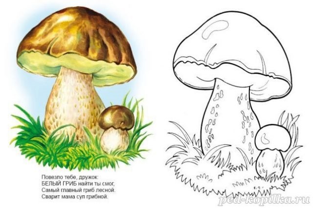 нарисованные цветные грибы картинки для детей 011