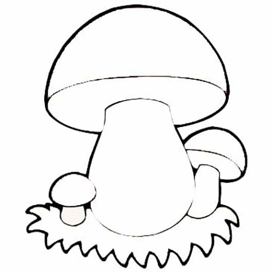 нарисованные цветные грибы картинки для детей 023