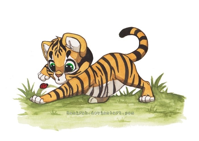 Тигр и тигренок картинки для детей