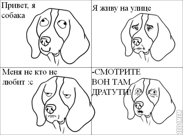 Как нарисовать мем собаки