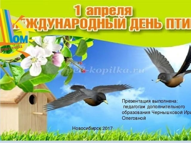 1 апреля Международный день птиц 006