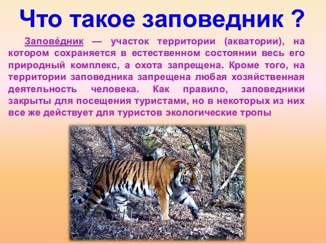 Презентация день заповедников и национальных парков для дошкольников