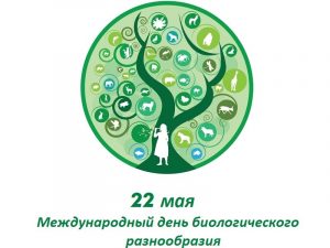 22 мая Международный день биологического разнообразия 010