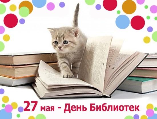 27 мая Всероссийский день библиотек 006