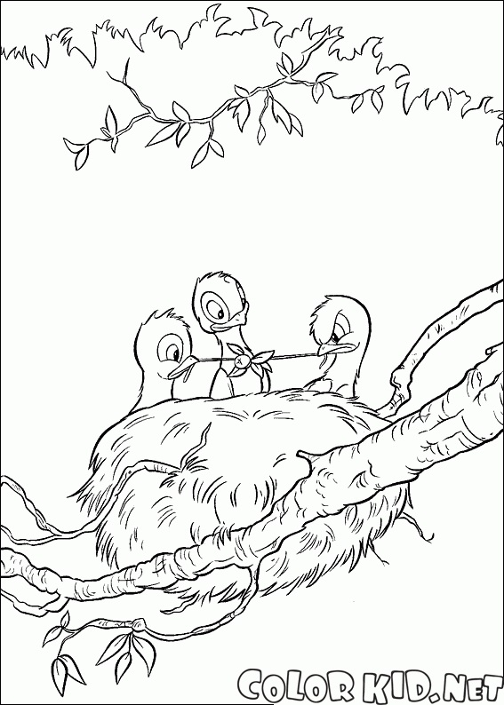 Картинка гнездо раскраска для детей 022