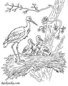 Картинка гнездо раскраска для детей 024