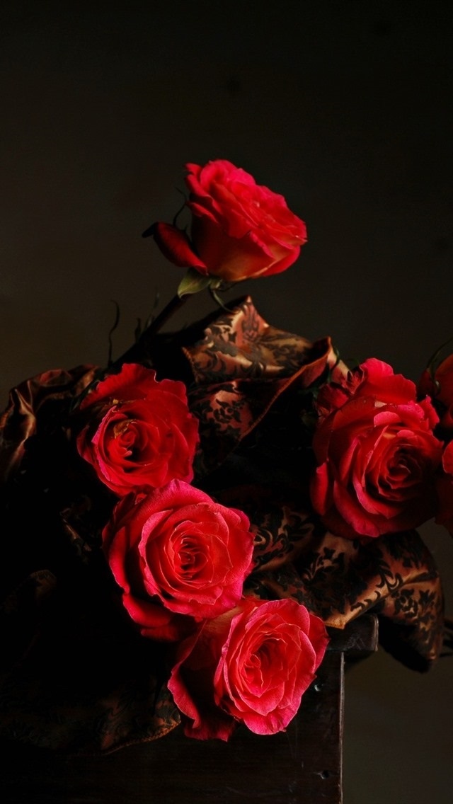 Обои красные розы на айфон 23 40 016